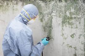 Newport Beach, CA Mold Prevention & Removal  Company